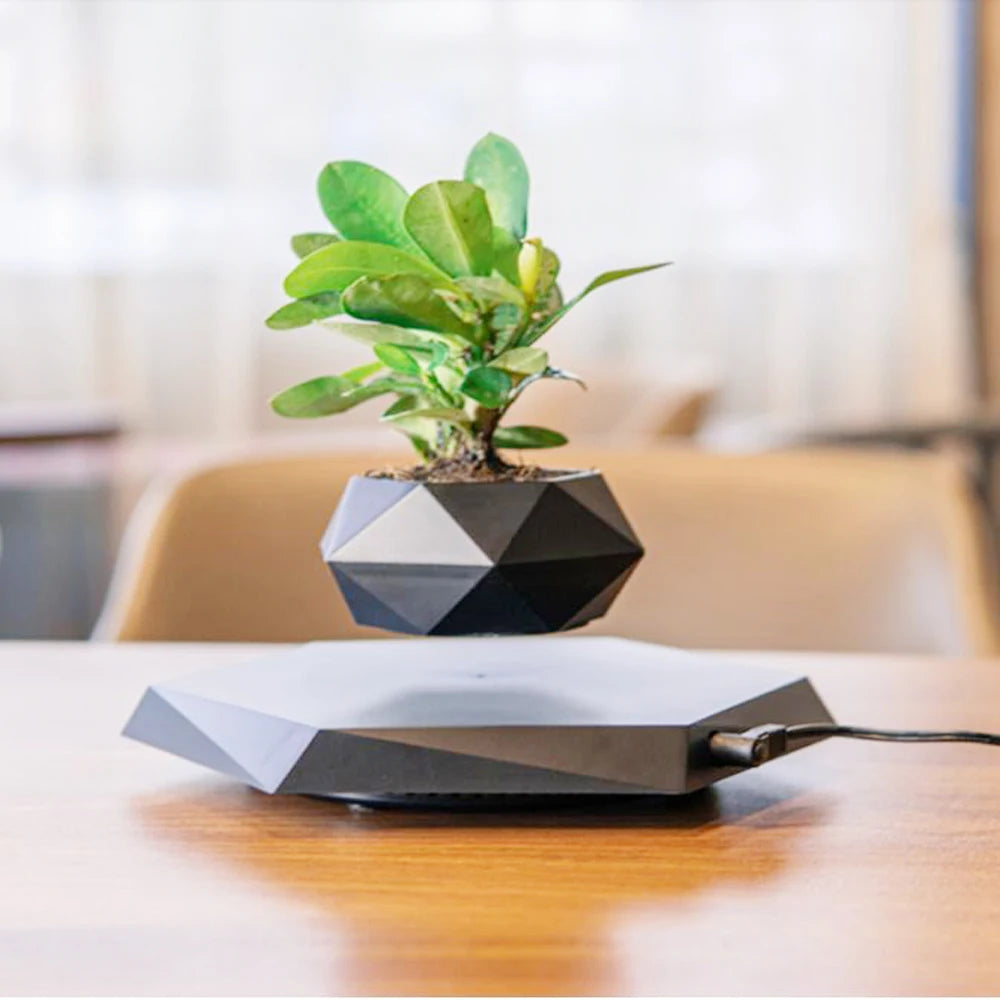 Magnetic Levitating Bonsai Pot – Floating & Rotating Plant Planter