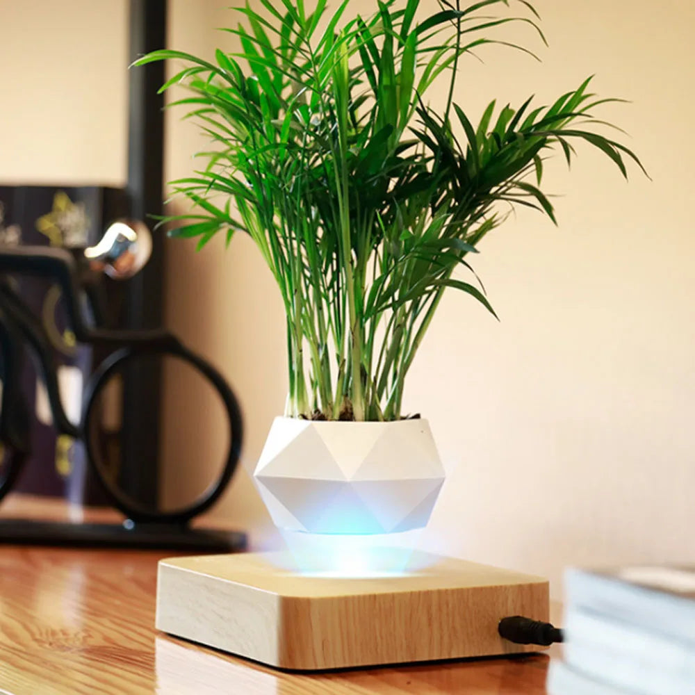Magnetic Levitating Bonsai Pot – Floating & Rotating Plant Planter