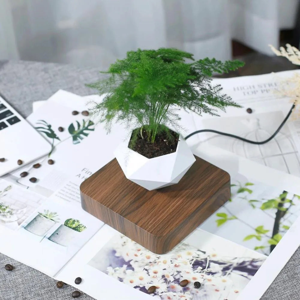 Magnetic Levitating Bonsai Pot – Floating & Rotating Plant Planter
