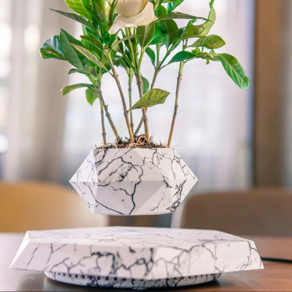 Magnetic Levitating Bonsai Pot – Floating & Rotating Plant Planter