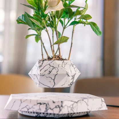 Magnetic Levitating Bonsai Pot – Floating & Rotating Plant Planter